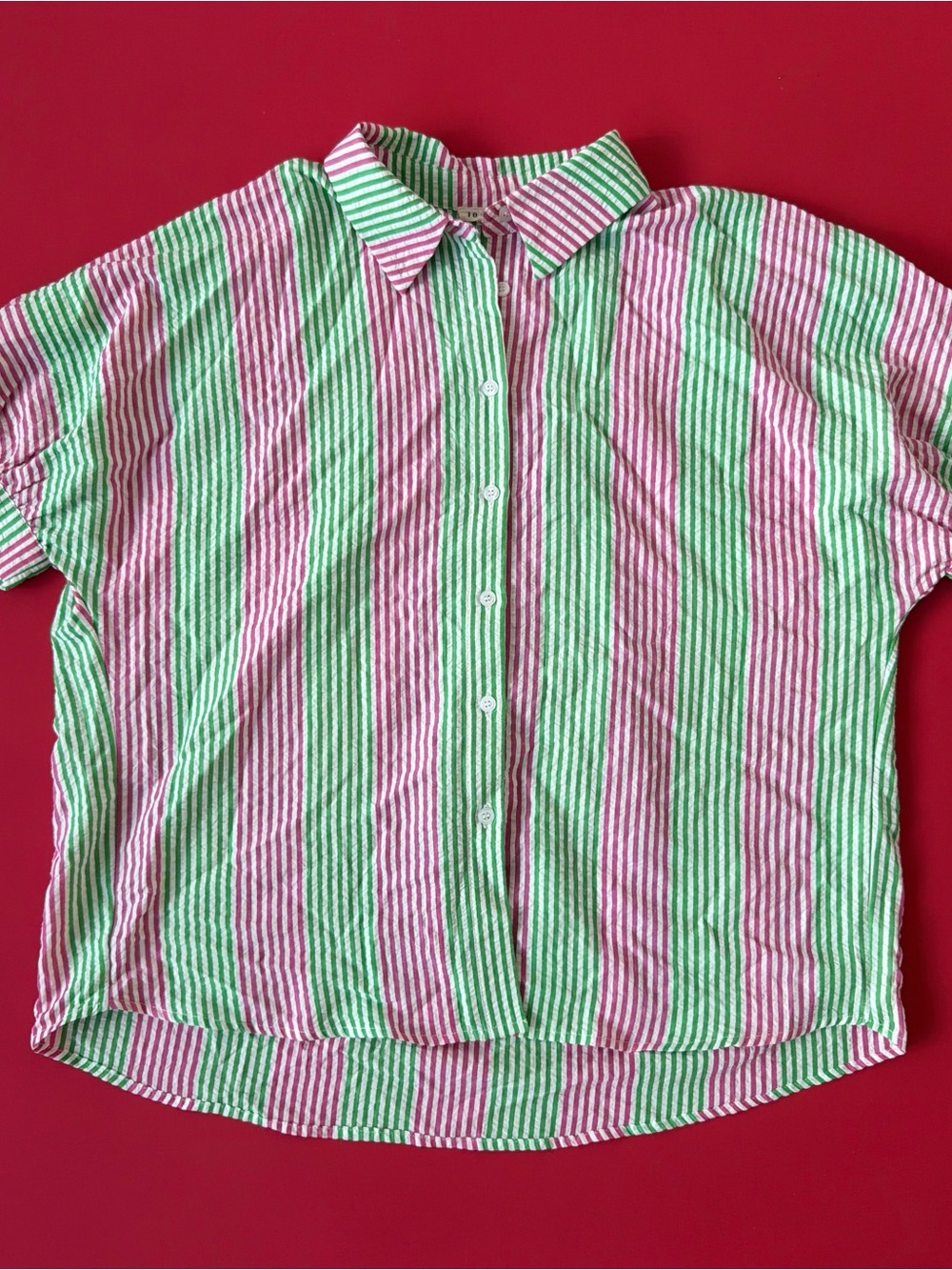 JODIFL Shirt in Pink & Green Stripes
